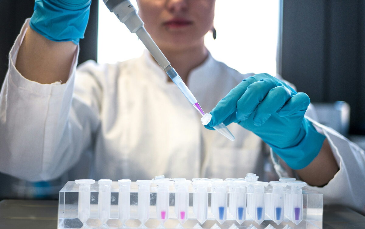 School of Chemical Sciences | Illinois