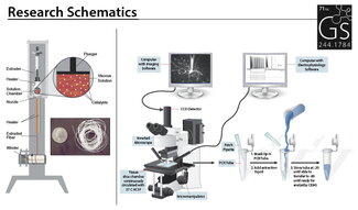 Research Schematic example