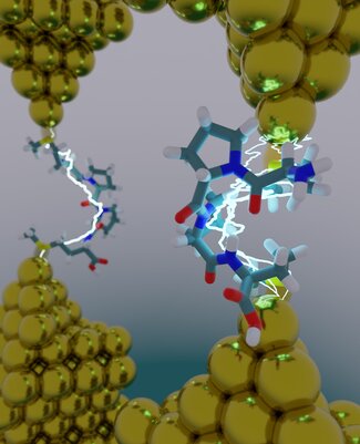 Do Peptides Dream of Electric Sheep?  An atomistic model of a molecular break junction: an oligopeptide is caught between two gold electrodes, forming a single-molecule circuit. Using a combined experimentalcomputational approach, we show that secondary structure plays an important role in determining electron transport in peptides. Image rendered using VMD and Blender. Moeen Meigooni, Tajkhorshid Lab, Center for Biophysics and Quantitative Biology, Dept of Biochemistry, Dept of Chemistry, Beckman Institute