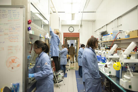 Students working in a SCS lab