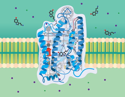 Molecular Machinery