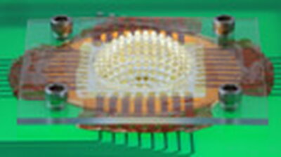 Rogers prototype