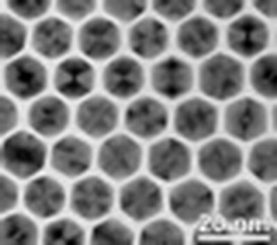 Yang Image