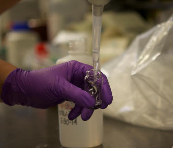 a purple gloved hand fills a test tube in an Illinois Chemistry Lab