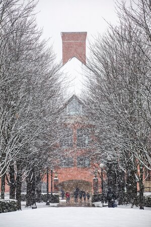 Campus - Winter - Season - Snow - Snowfall - Snowing - North Quad - Grainger Engineering Library Information Center