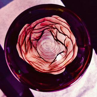 2023 Winning Image - Rose in the flask