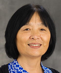 Feng Dong
