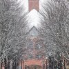 Campus - Winter - Season - Snow - Snowfall - Snowing - North Quad - Grainger Engineering Library Information Center